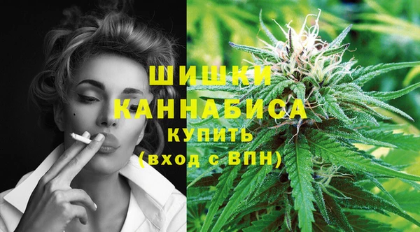 Альфа ПВП Белокуриха