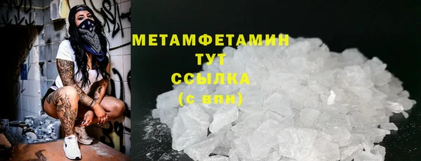 гидра Богородицк