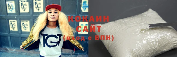 гидра Богородицк