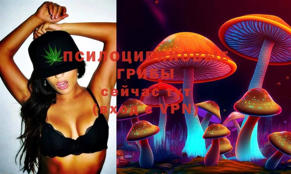 Альфа ПВП Белокуриха