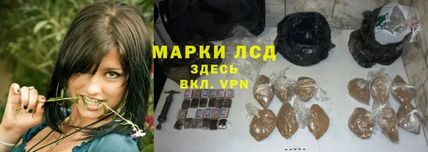 Альфа ПВП Белокуриха