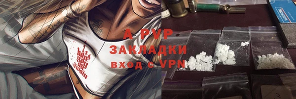 Альфа ПВП Белокуриха