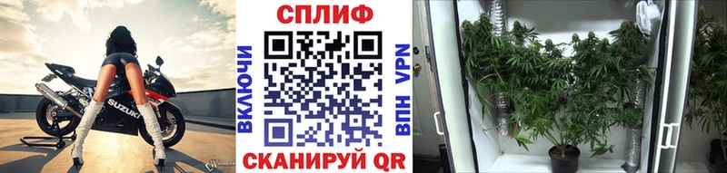 Каннабис OG Kush  Купить закладки  Любань 
